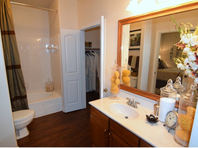 Apartments for Rent | Bathroom | La Villita