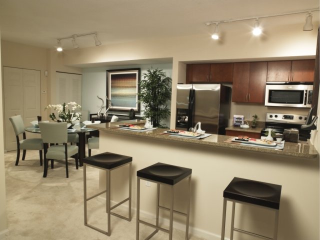 Kitchen / Dining