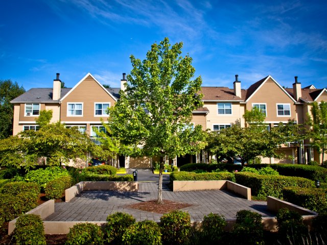 Pet-Friendly Community