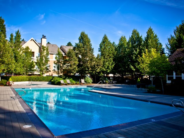 Two Pools and Two Hot Tubs