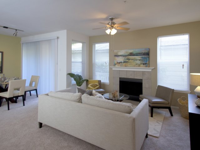 Open floor plans with lots of natural lighting