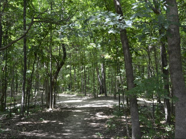 McAlpine Park Trails