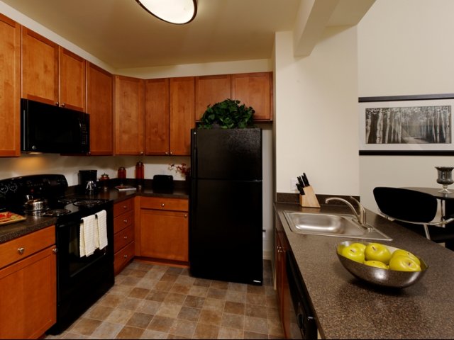Model Kitchen