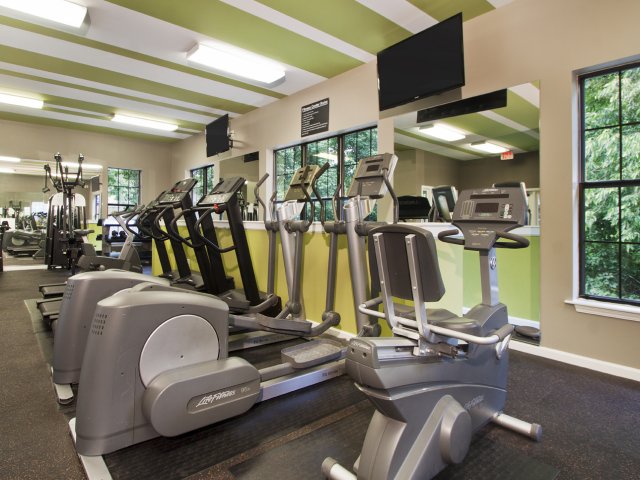 Fully equipped fitness center