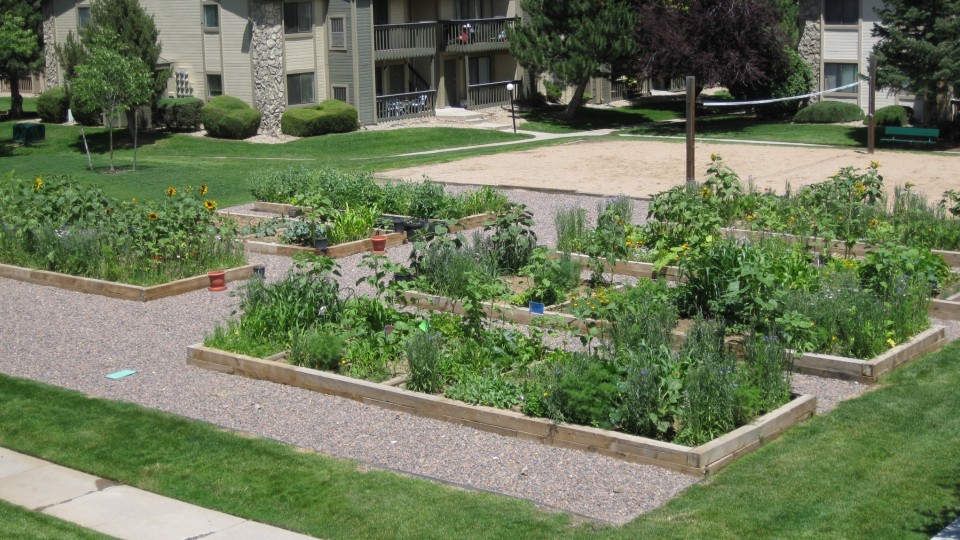 Ask us about the community garden!