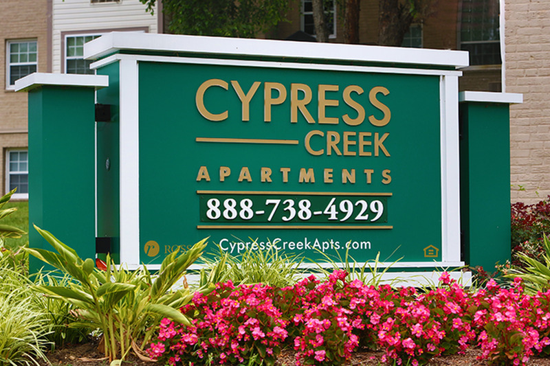 Cypress Creek Image 38