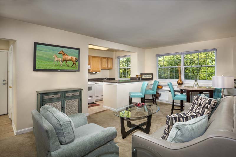 Cypress Creek Image 26