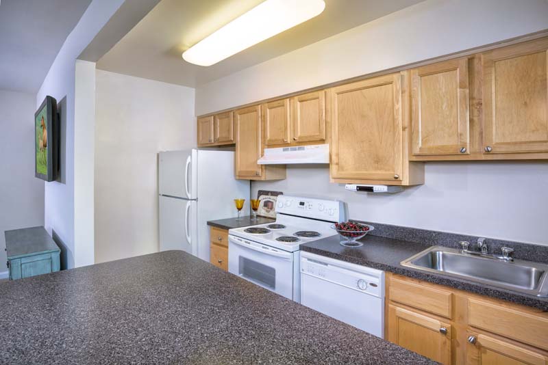 Cypress Creek Image 25