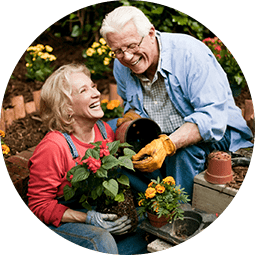 Gardening